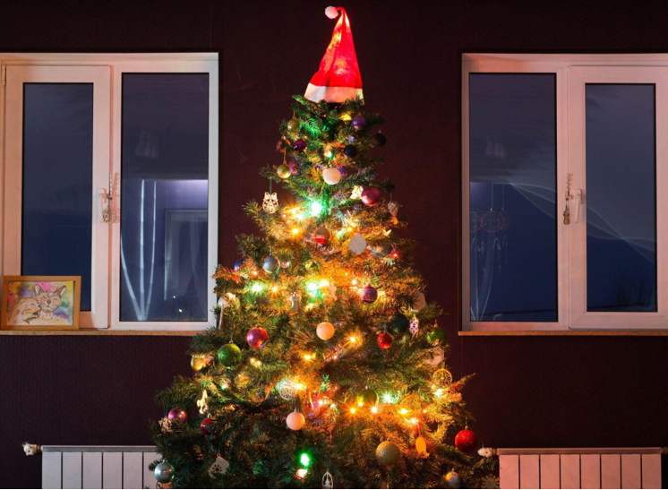 The Surprising History of Artificial Christmas Trees: From World Conflict to Symbol of Peace